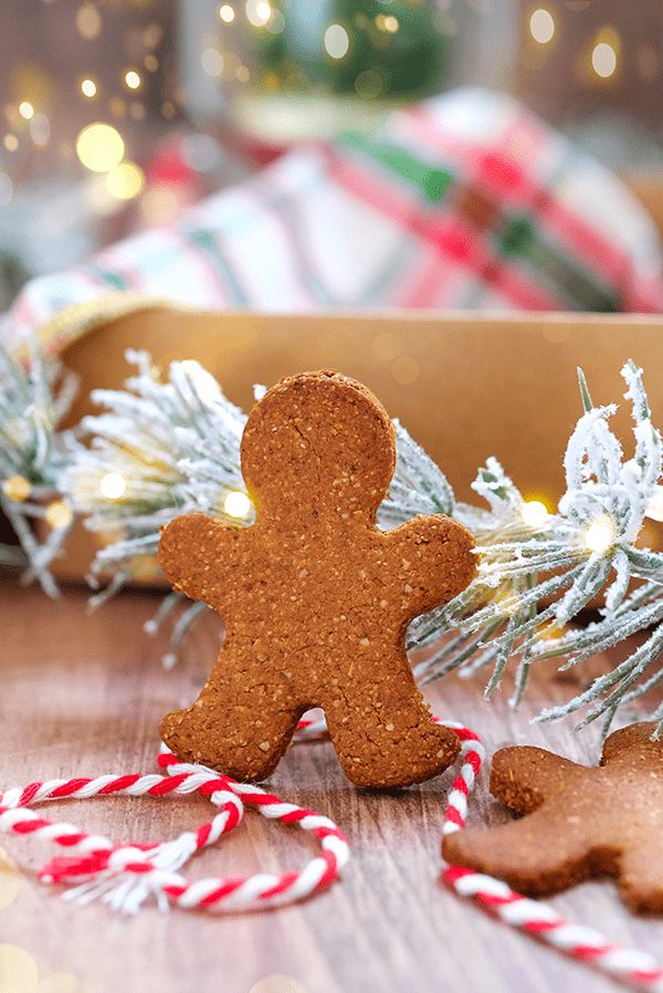 Biscuits pain d'épices de Noël (vegan) - Healthy Alie