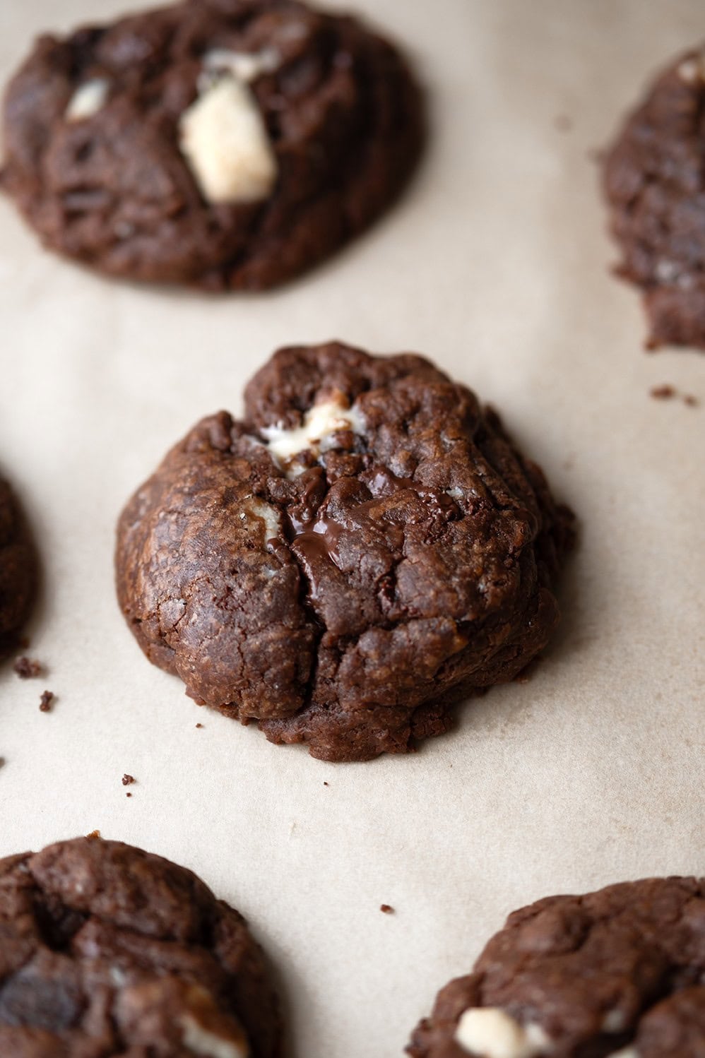Dao -- Cookies choco châtaigne bio (vegan) Vrac - 3 kg main image 1