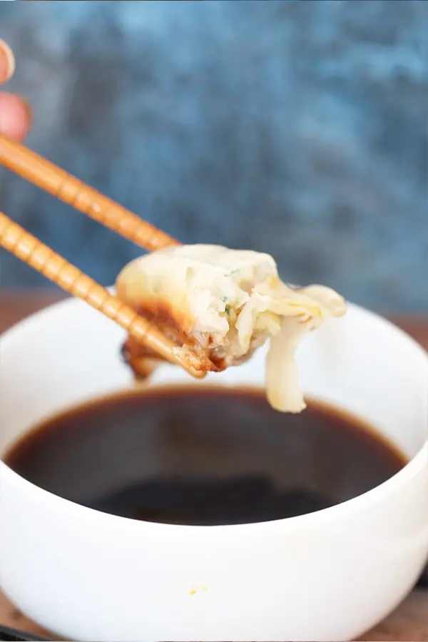 Dégustation de gyozas maison